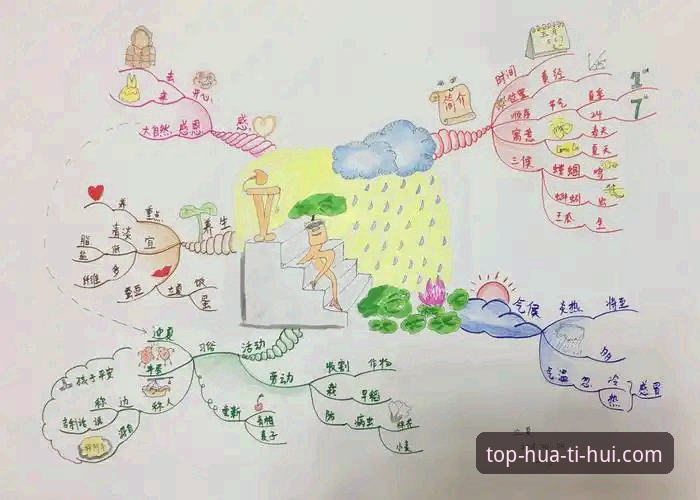 实战派玩家亲测：华体会最新版使用教程与高效操作心得